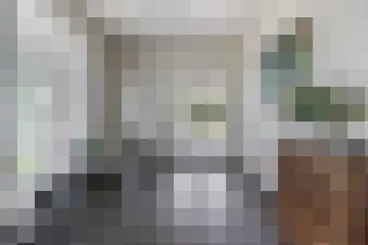 Daniel Eyndhoutsgaarde 13 Nuenen thumbnail 5