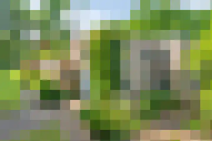 Daniel Eyndhoutsgaarde 13 Nuenen thumbnail 50