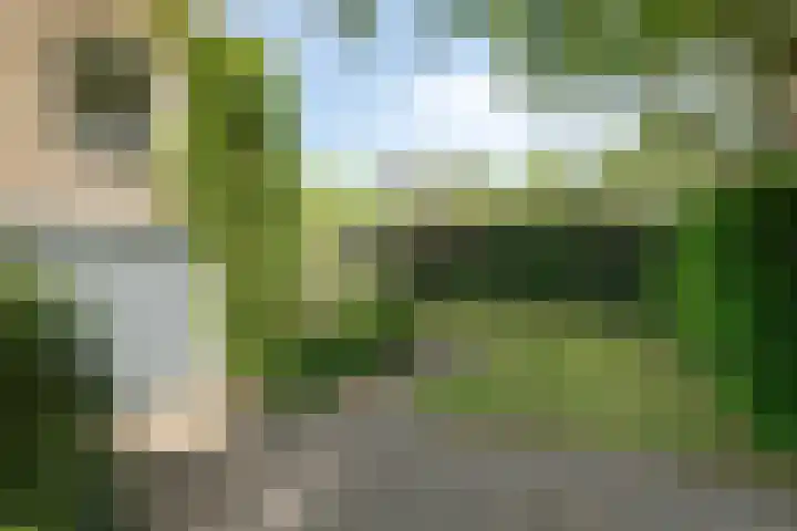 Daniel Eyndhoutsgaarde 13 Nuenen thumbnail 51