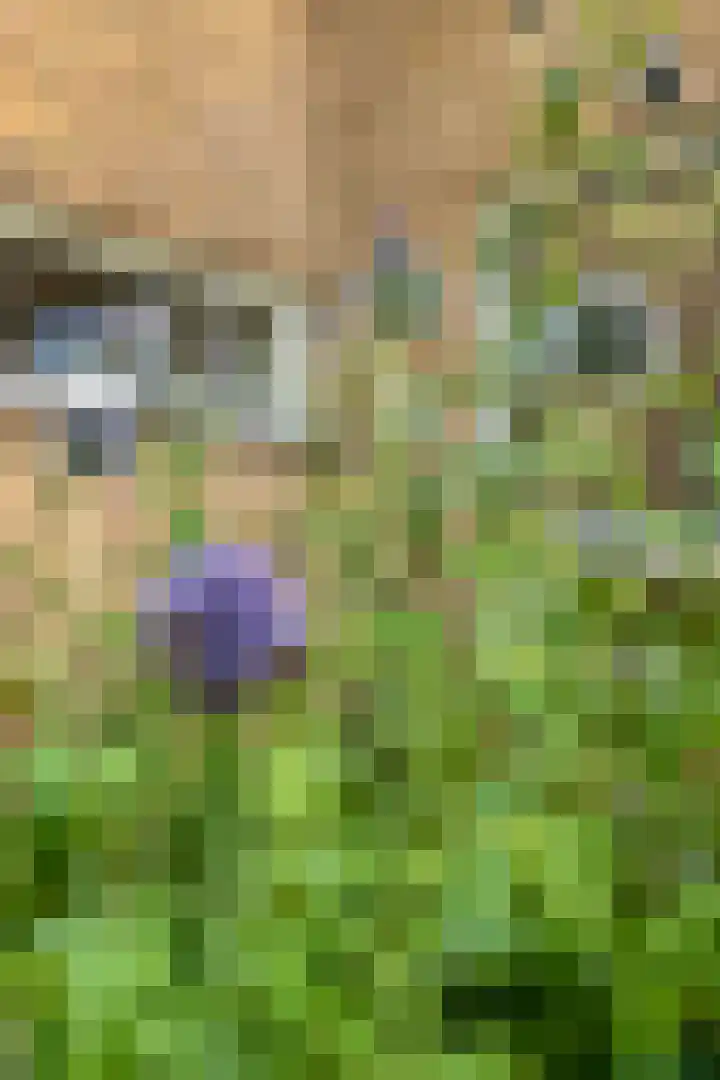 Daniel Eyndhoutsgaarde 13 Nuenen thumbnail 54