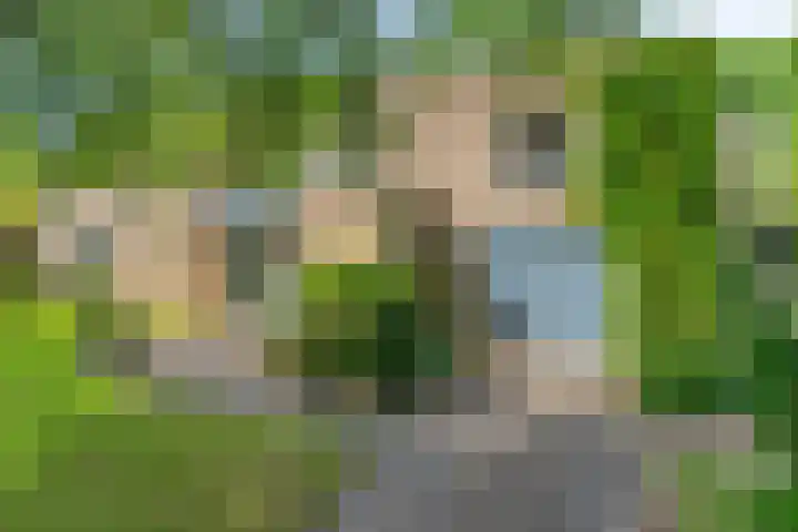 Daniel Eyndhoutsgaarde 13 Nuenen thumbnail 55