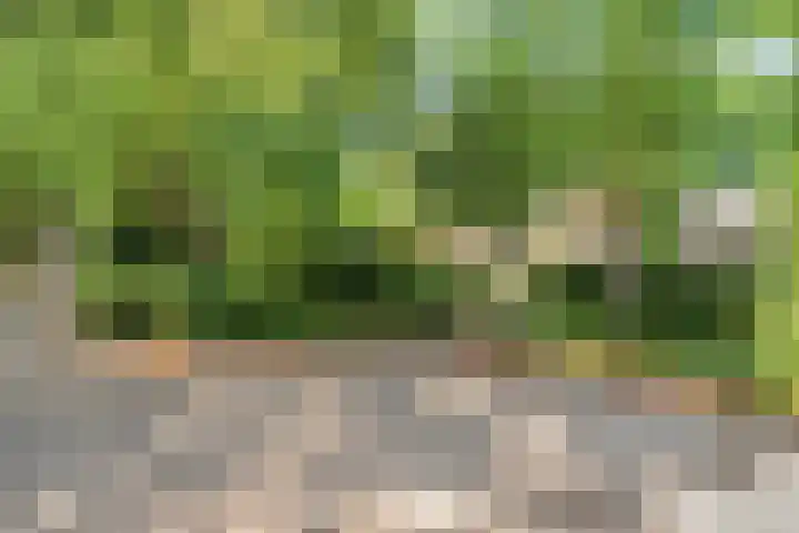 Daniel Eyndhoutsgaarde 13 Nuenen thumbnail 56