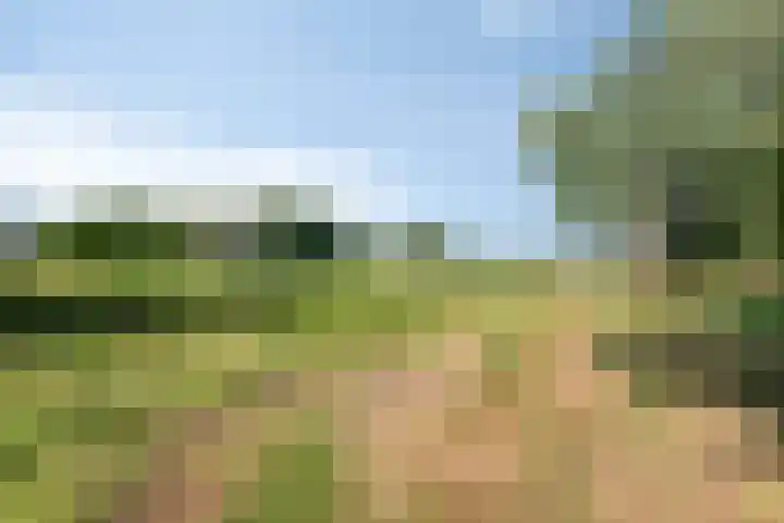 Daniel Eyndhoutsgaarde 13 Nuenen thumbnail 57