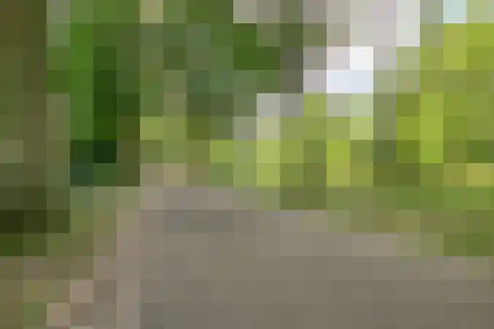 Daniel Eyndhoutsgaarde 13 Nuenen thumbnail 58