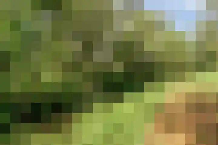 Daniel Eyndhoutsgaarde 13 Nuenen thumbnail 59