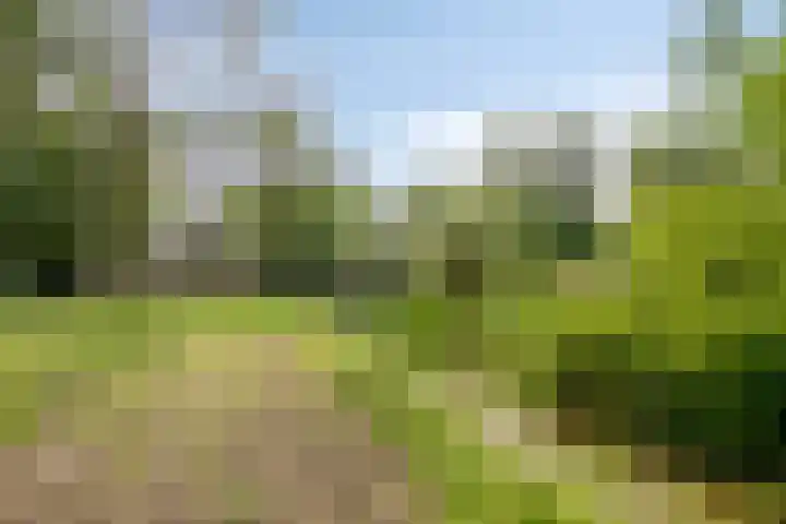 Daniel Eyndhoutsgaarde 13 Nuenen thumbnail 60