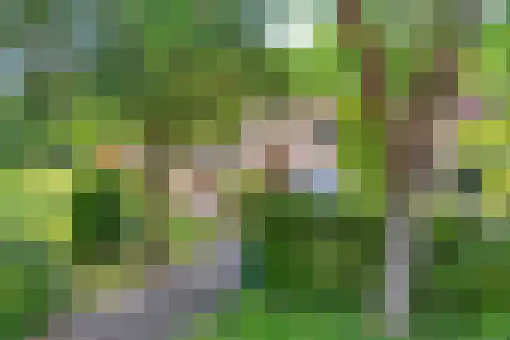 Daniel Eyndhoutsgaarde 13 Nuenen thumbnail 64