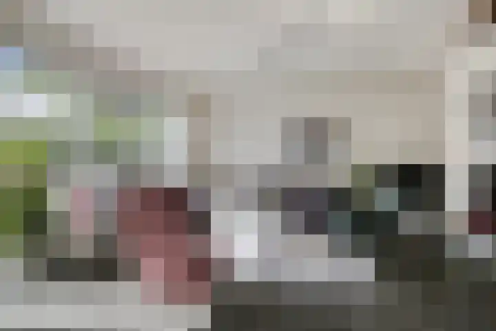 Daniel Eyndhoutsgaarde 13 Nuenen thumbnail 7