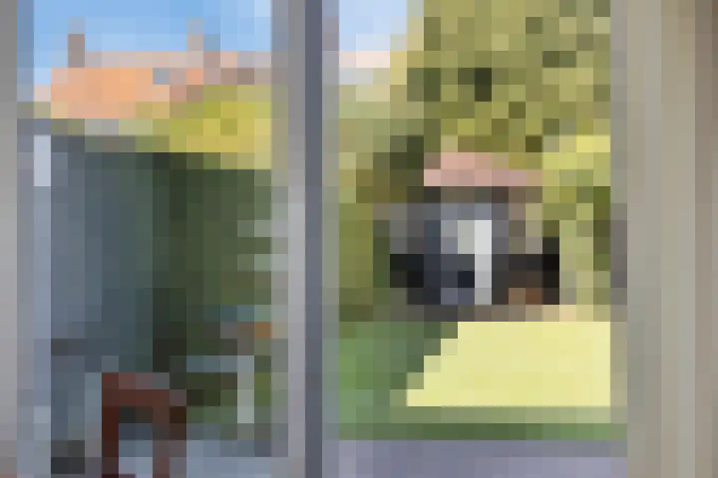 Daniël Heinsiusstraat 18 Deventer thumbnail 15