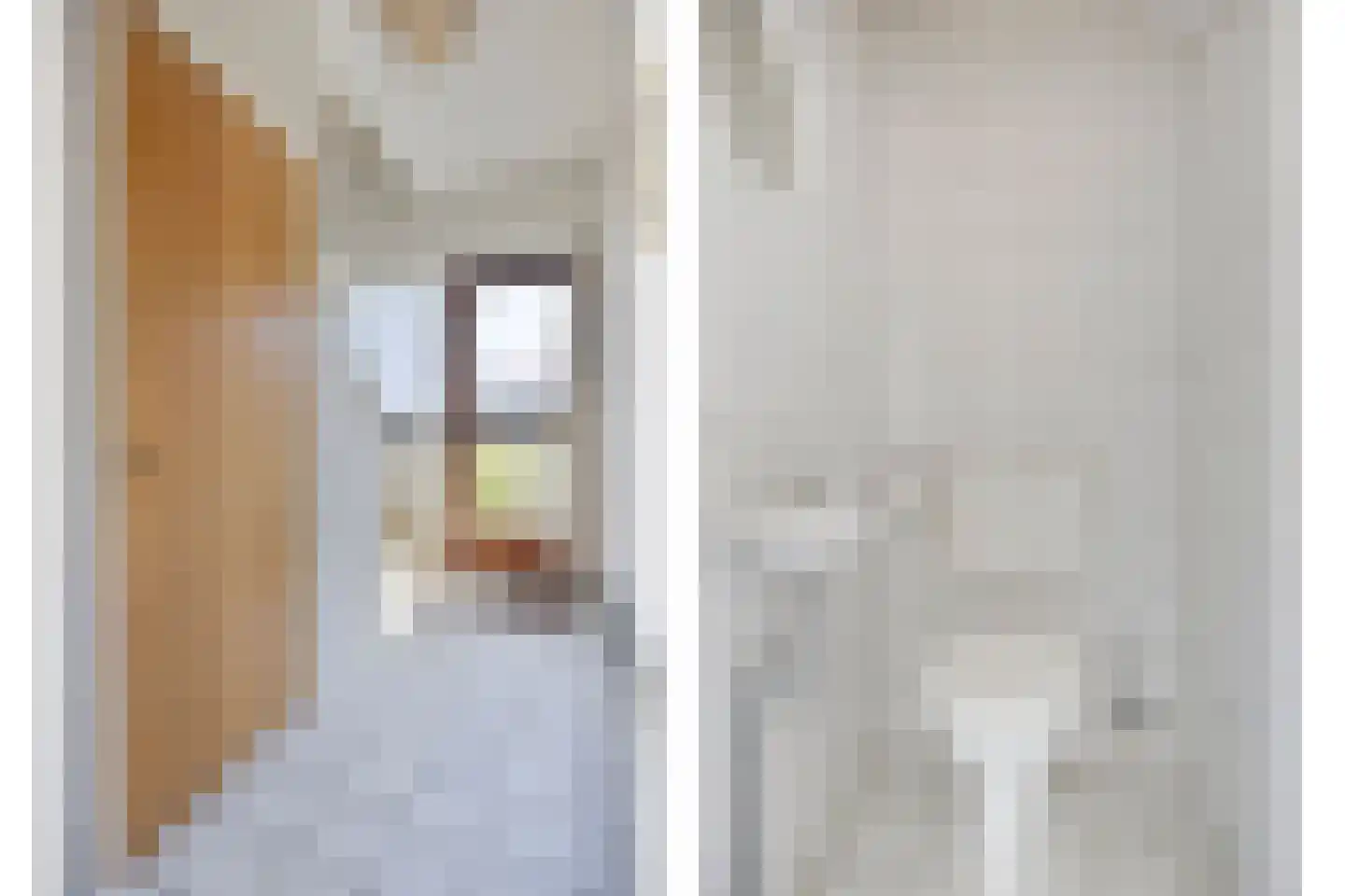 Daniël Heinsiusstraat 18 Deventer thumbnail 8