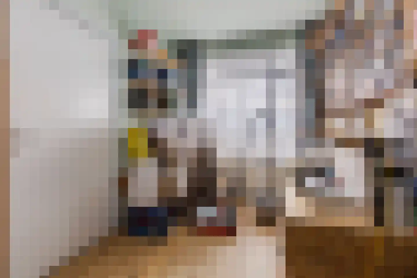 Daniël Josephus Jittastraat 139 Tilburg thumbnail 11