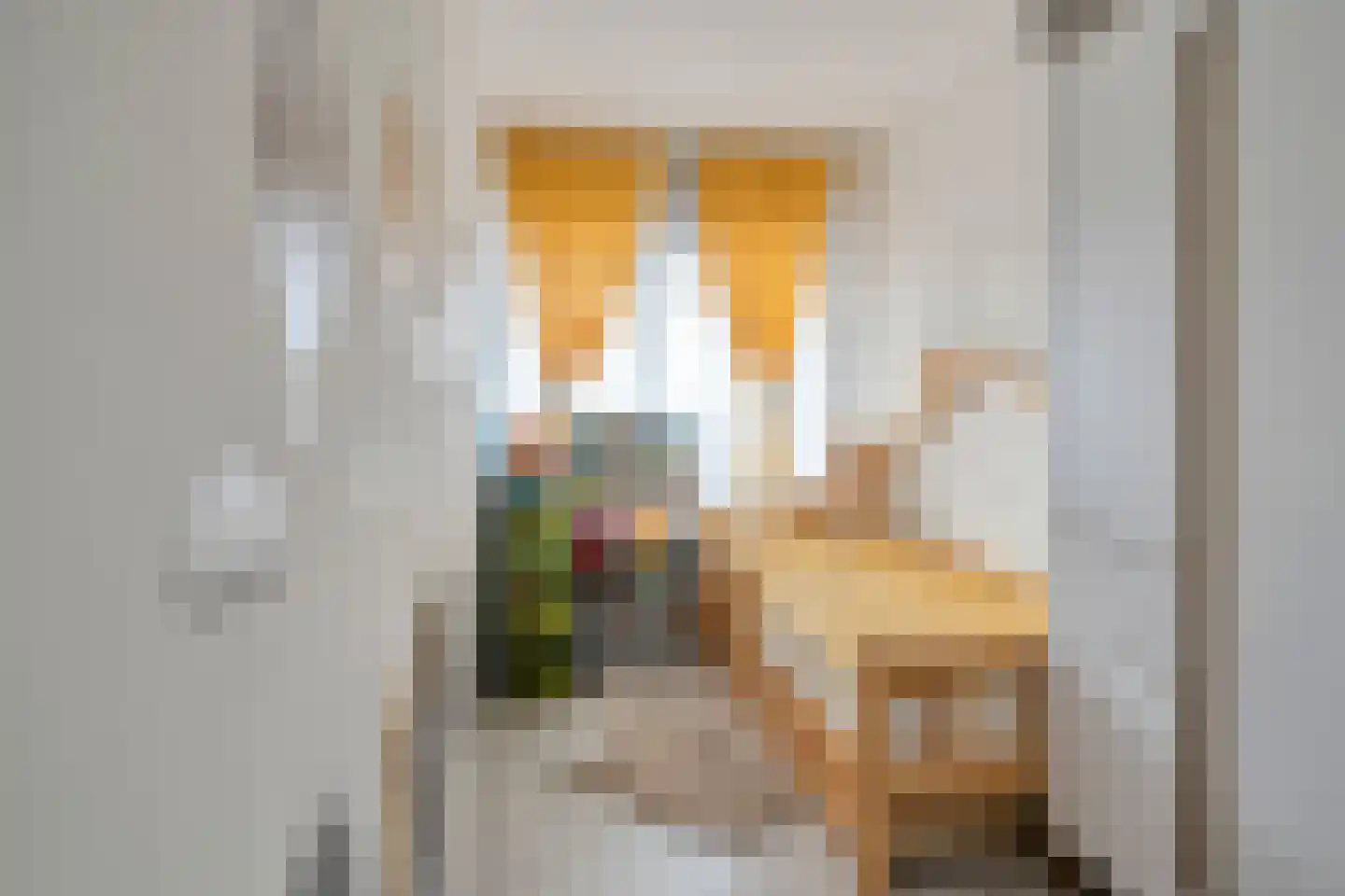 Daniël Josephus Jittastraat 159 Tilburg thumbnail 38