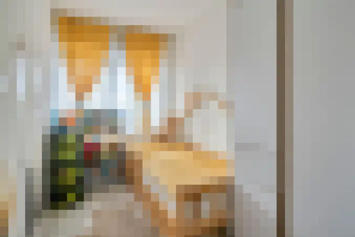 Daniël Josephus Jittastraat 159 Tilburg thumbnail 5