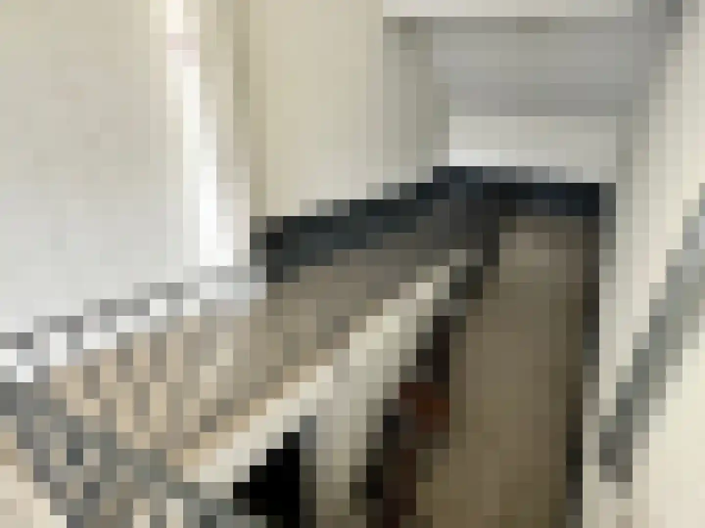 Daniël Josephus Jittastraat 163 Tilburg thumbnail 23