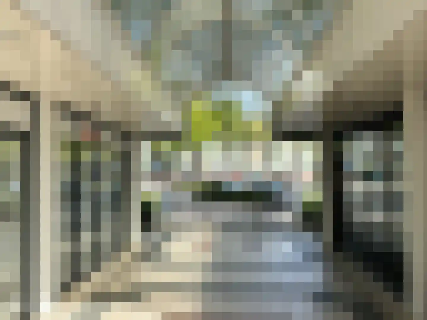 Daniël Josephus Jittastraat 163 Tilburg thumbnail 24