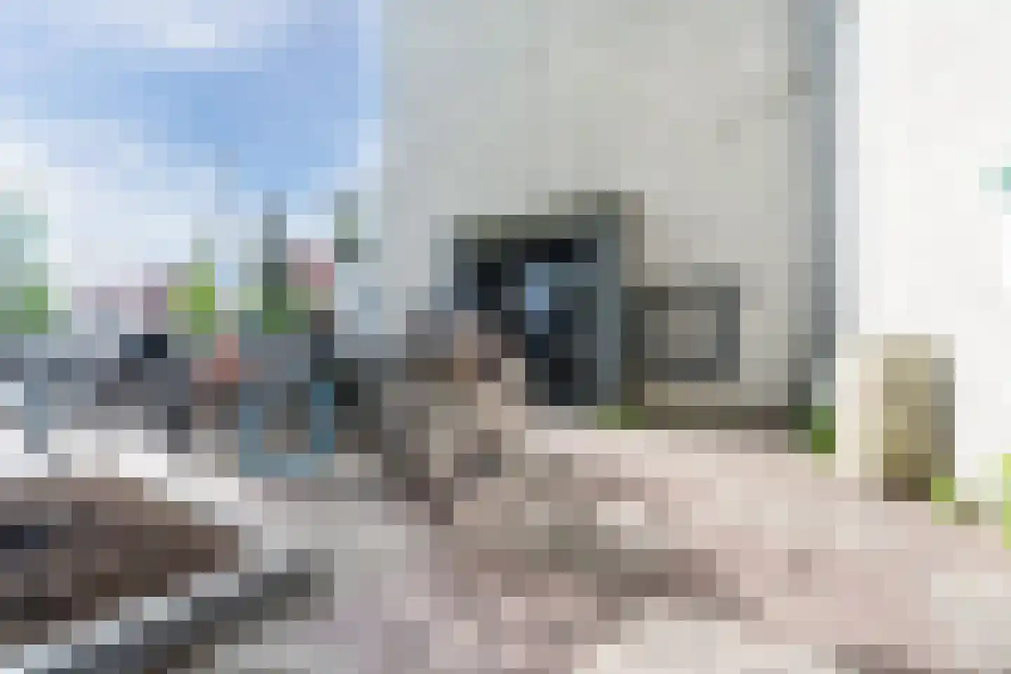 Daniël Josephus Jittastraat 195 Tilburg thumbnail 34