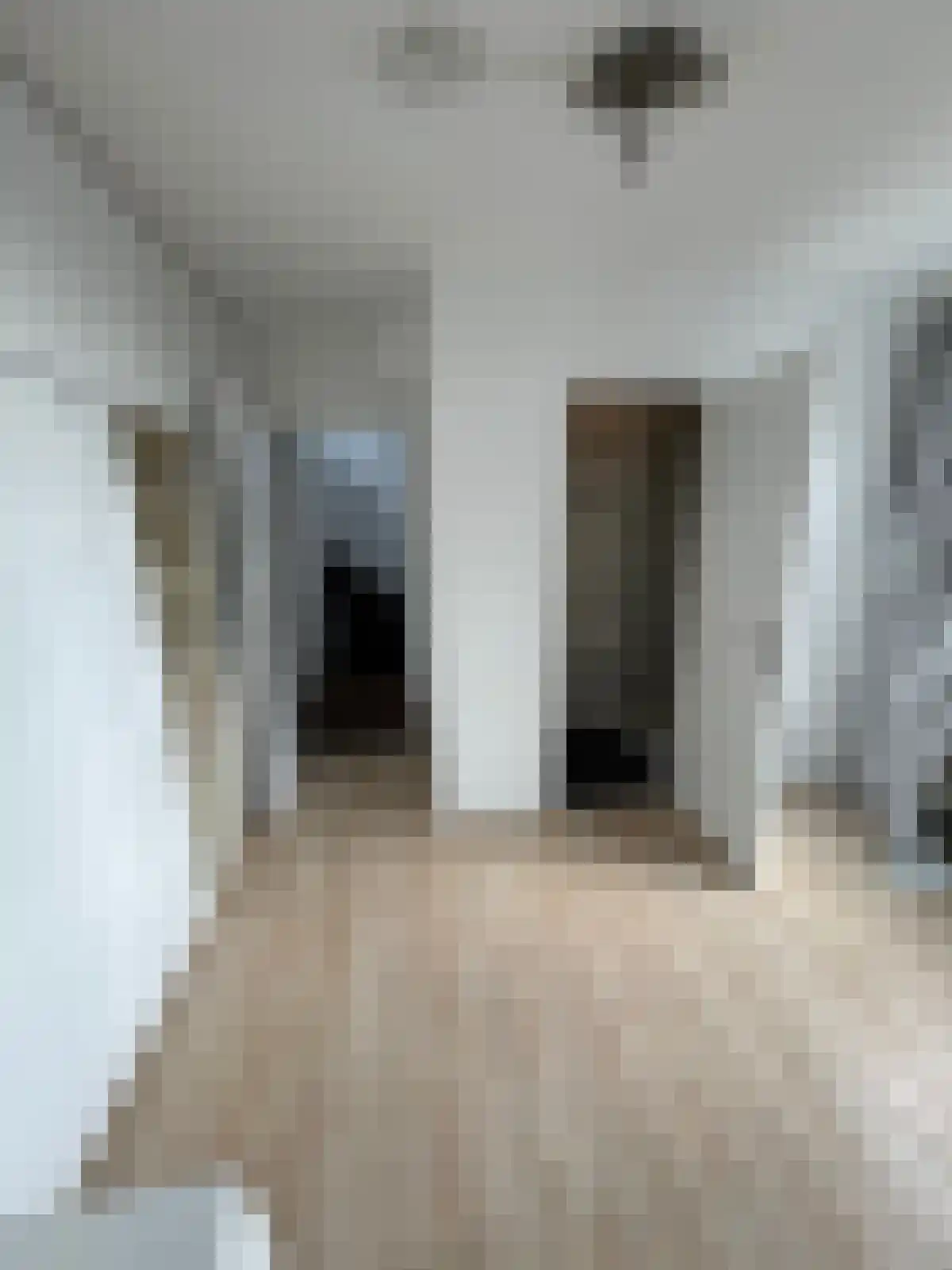 Daniël Josephus Jittastraat 30 Tilburg thumbnail 4