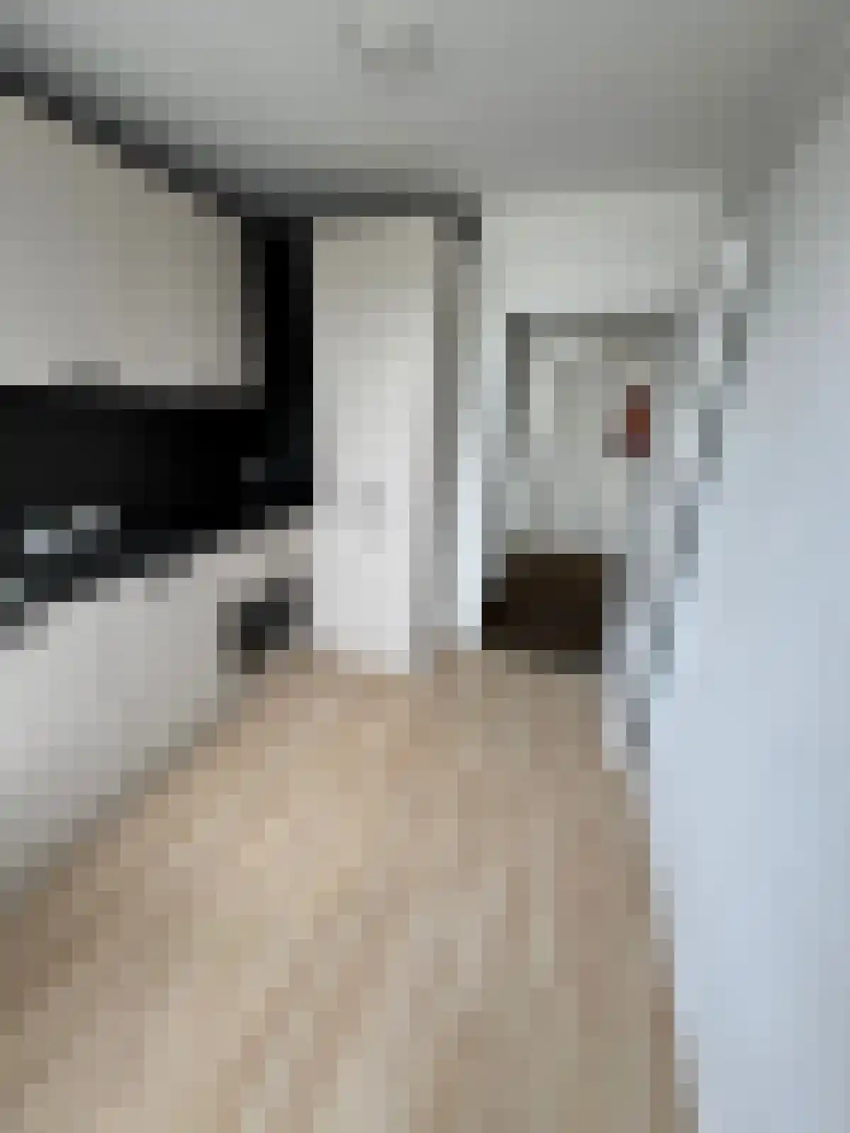 Daniël Josephus Jittastraat 9 Tilburg thumbnail 5