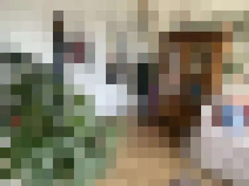 Daniël Josephus Jittastraat Tilburg thumbnail 5