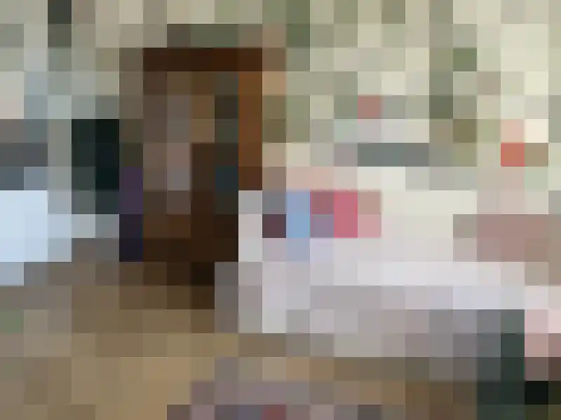 Daniël Josephus Jittastraat Tilburg thumbnail 6