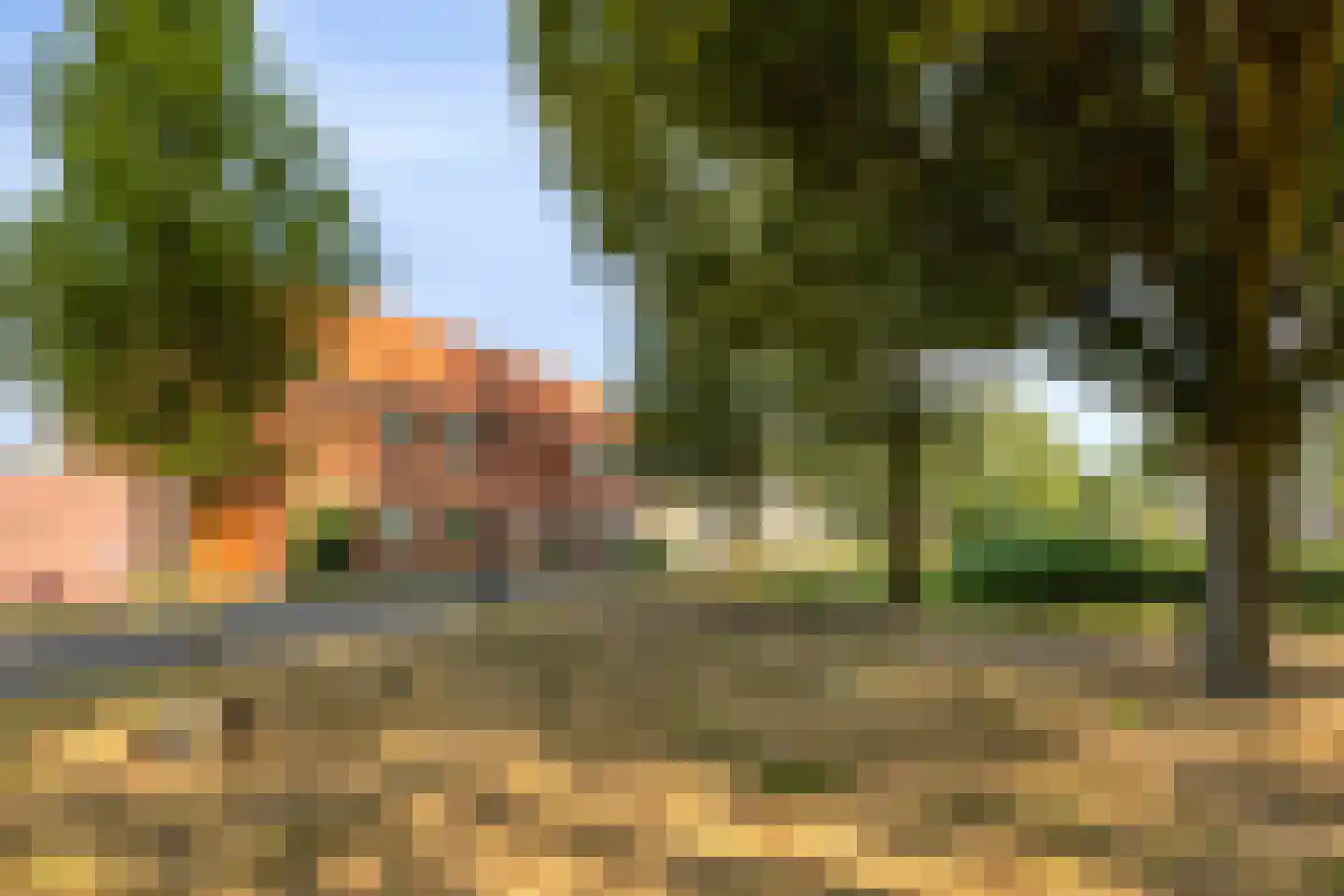 Daniël Marotstraat 37 Breda thumbnail 34