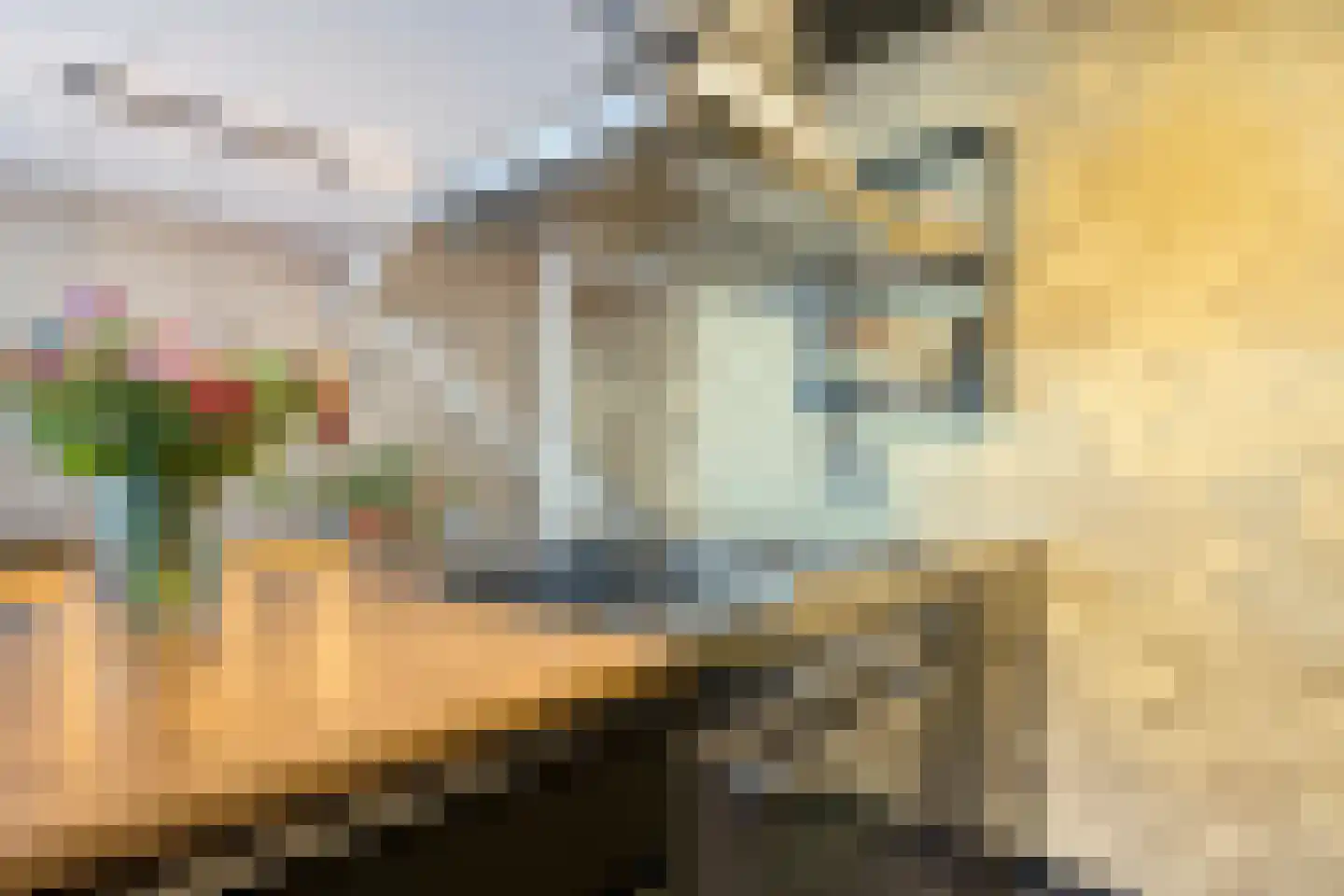 Daniël Mijtensstraat 1 Boxmeer thumbnail 12