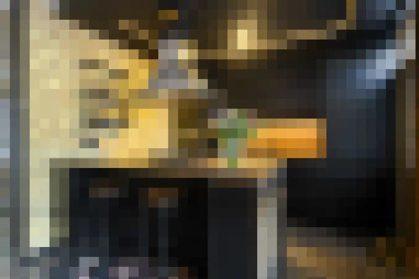 Daniël Mijtensstraat 1 Boxmeer thumbnail 9