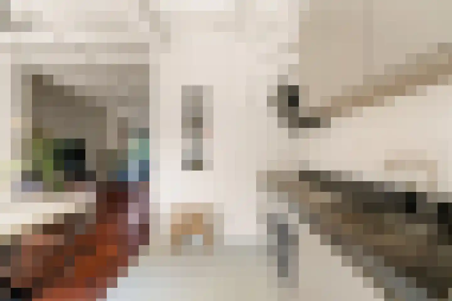 Daniël Noteboomstraat 1 Noordwijk thumbnail 15