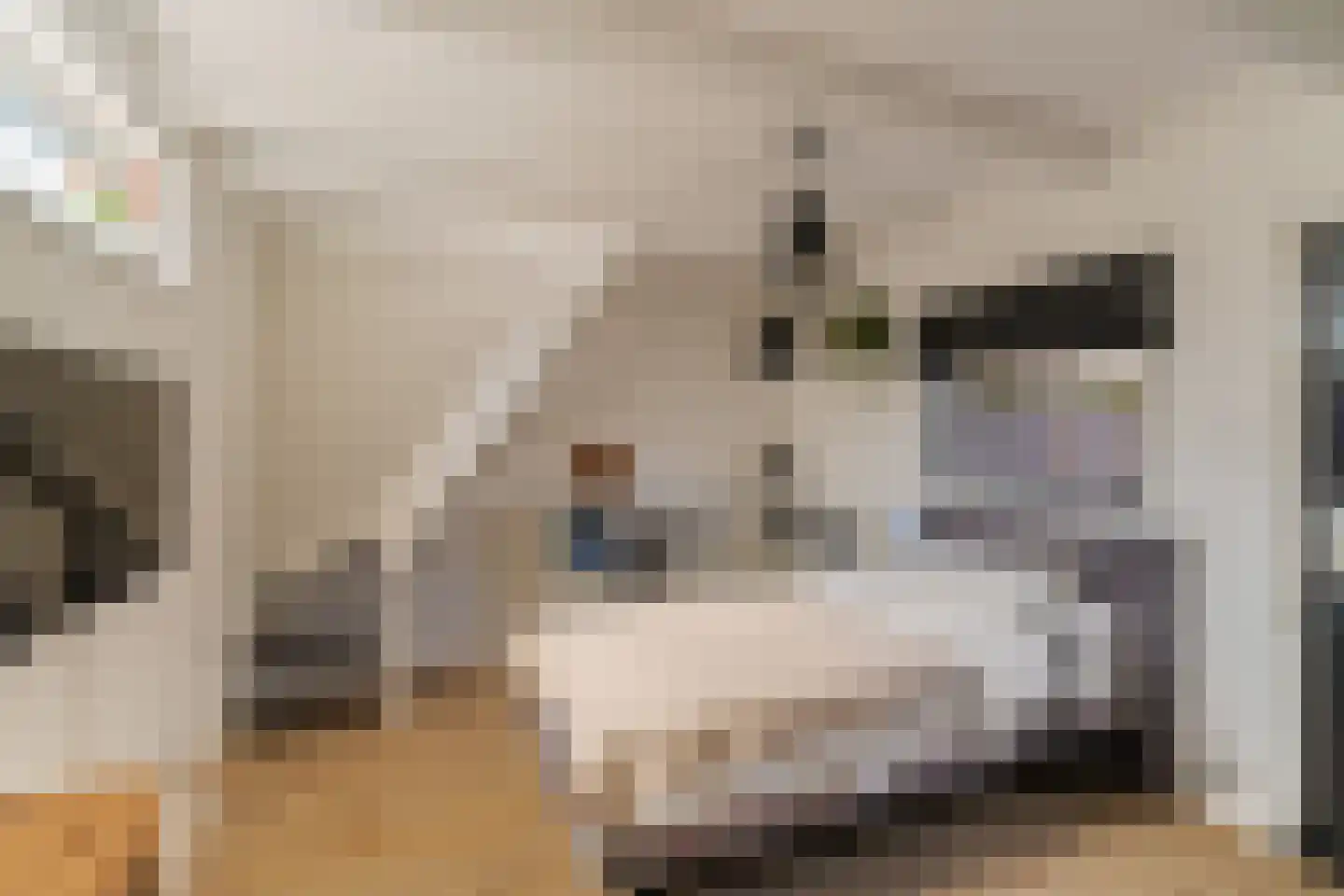 Daniël Noteboomstraat 1 Noordwijk thumbnail 27