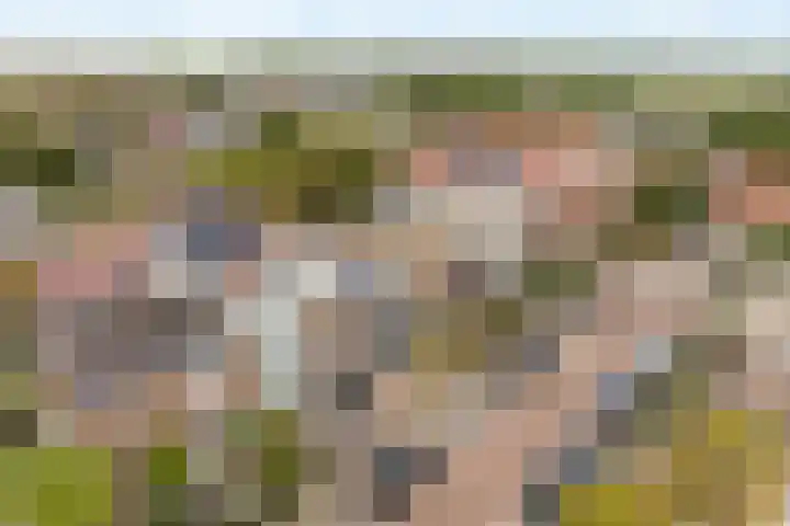 Daniël Noteboomstraat 12 Noordwijk thumbnail 6