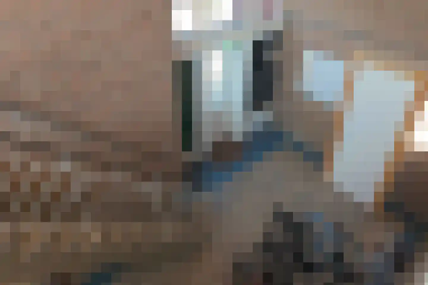 Daniël Noteboomstraat 46 Noordwijk thumbnail 11