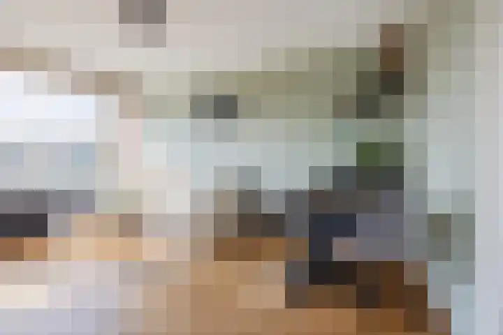 Daniël Noteboomstraat 48 Noordwijk thumbnail 8