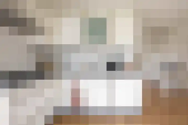 Daniël Ruynemanlaan 11 Groningen thumbnail 10