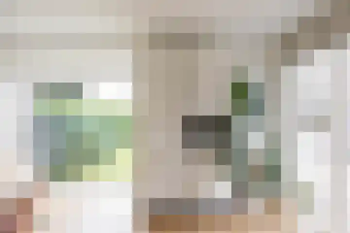 Daniël Ruynemanlaan 11 Groningen thumbnail 11