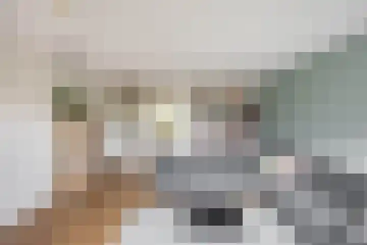 Daniël Ruynemanlaan 11 Groningen thumbnail 13