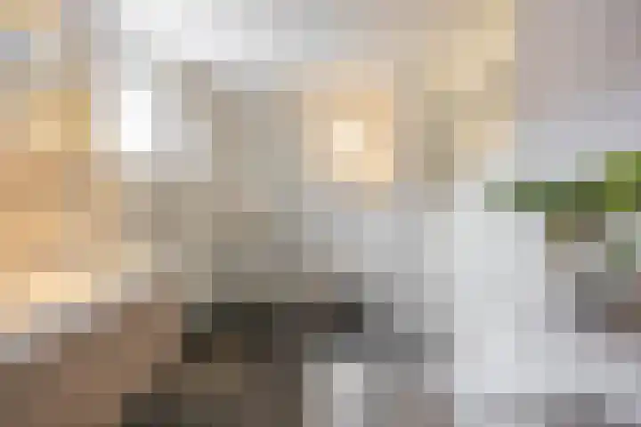 Daniël Ruynemanlaan 11 Groningen thumbnail 22