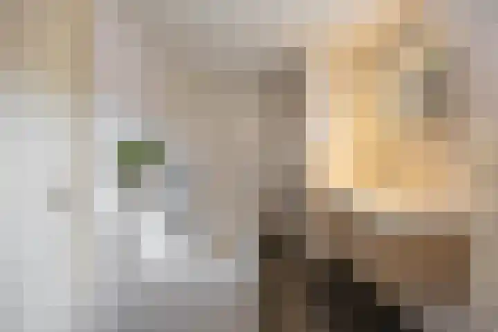 Daniël Ruynemanlaan 11 Groningen thumbnail 23