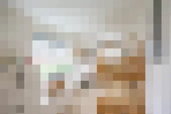 Daniël Ruynemanlaan 11 Groningen thumbnail 27