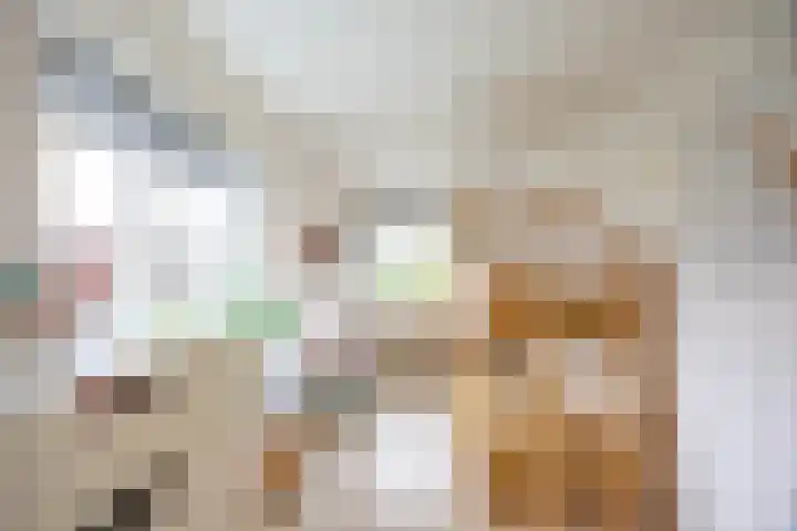 Daniël Ruynemanlaan 11 Groningen thumbnail 28