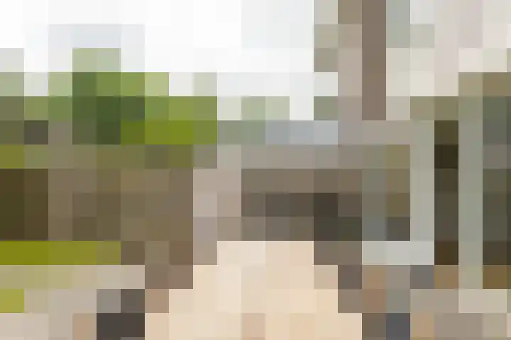 Daniël Ruynemanlaan 11 Groningen thumbnail 35