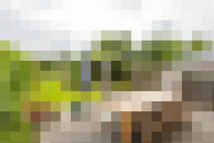 Daniël Ruynemanlaan 11 Groningen thumbnail 36