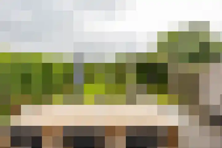 Daniël Ruynemanlaan 11 Groningen thumbnail 37