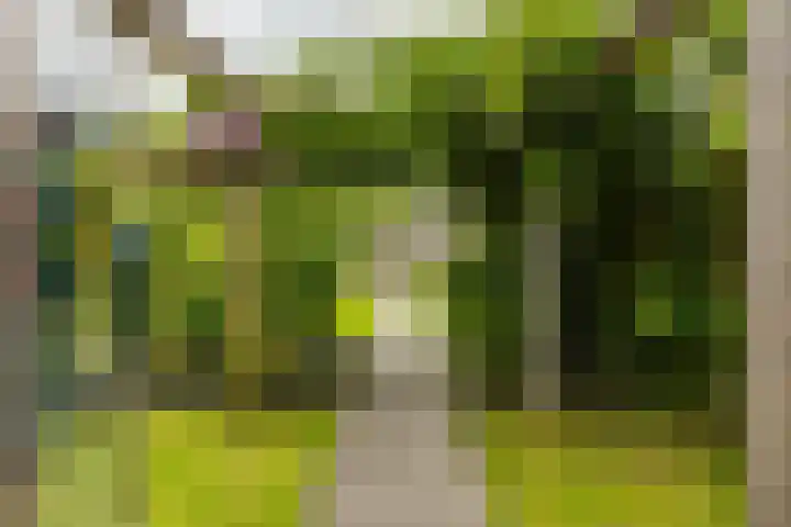 Daniël Ruynemanlaan 11 Groningen thumbnail 38