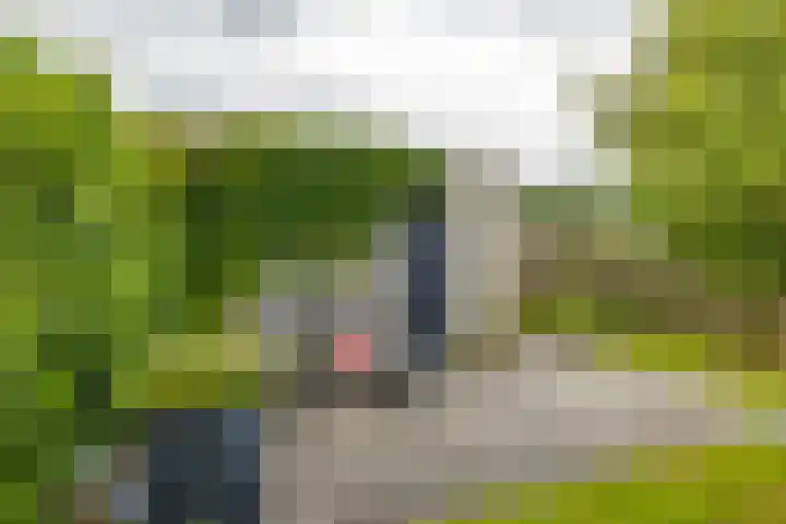 Daniël Ruynemanlaan 11 Groningen thumbnail 39