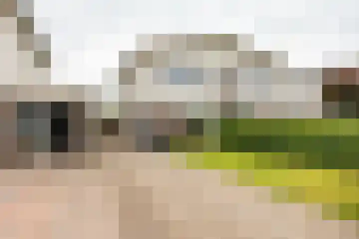 Daniël Ruynemanlaan 11 Groningen thumbnail 4