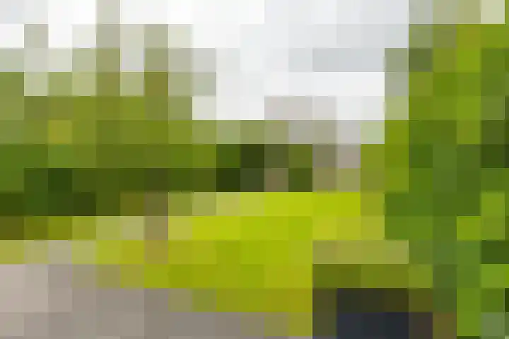 Daniël Ruynemanlaan 11 Groningen thumbnail 40