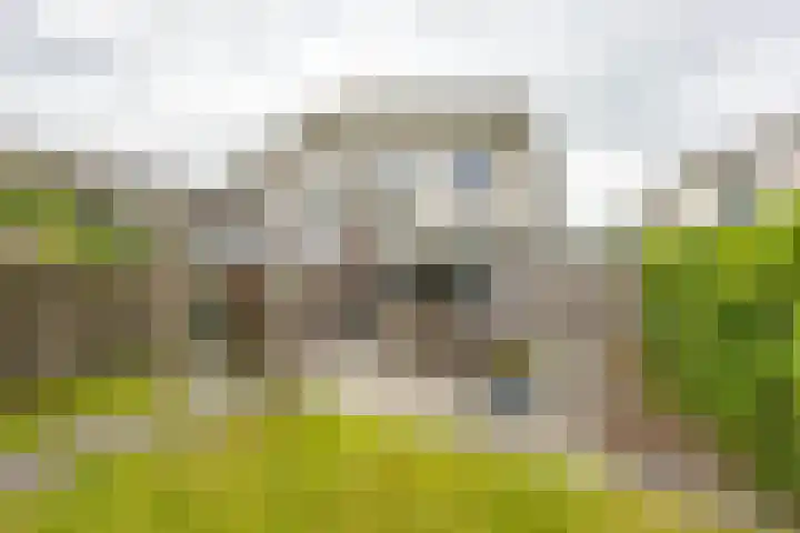 Daniël Ruynemanlaan 11 Groningen thumbnail 41