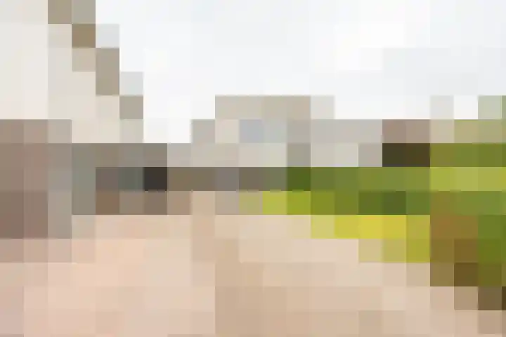 Daniël Ruynemanlaan 11 Groningen thumbnail 42