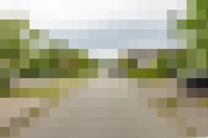 Daniël Ruynemanlaan 11 Groningen thumbnail 43