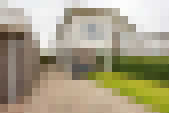 Daniël Ruynemanlaan 11 Groningen thumbnail 47